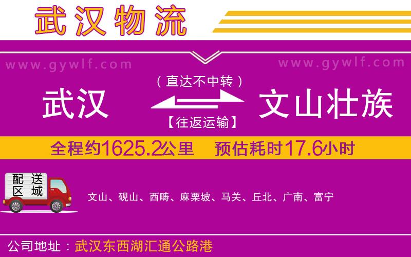 武漢到文山壯族苗族自治州物流專線