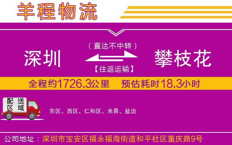 深圳到攀枝花物流公司