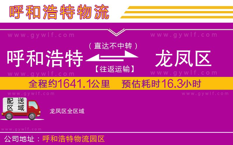 呼和浩特到龍鳳區(qū)物流公司