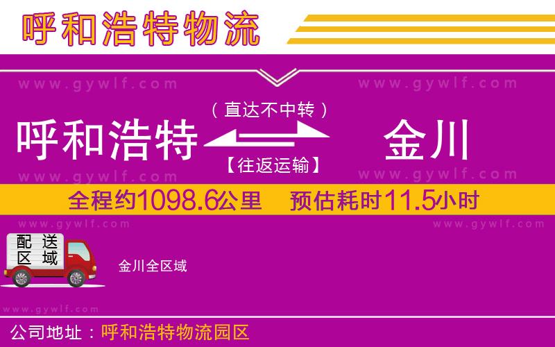 呼和浩特到金川物流公司