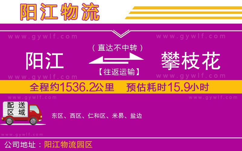 陽江到攀枝花物流公司