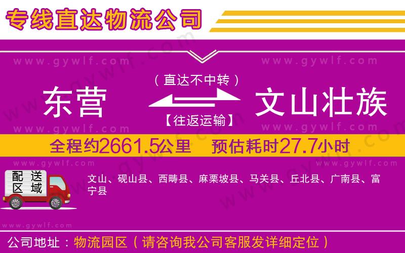 東營(yíng)到文山壯族苗族自治州物流公司