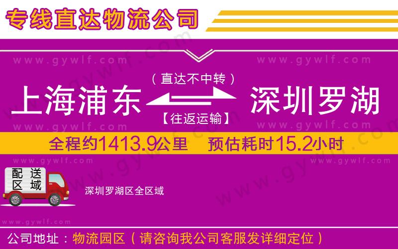 上海浦東區(qū)到深圳羅湖區(qū)物流公司