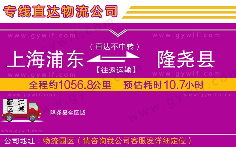 上海浦東區(qū)到隆堯縣物流公司