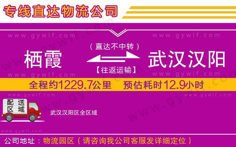 棲霞到武漢漢陽區(qū)物流公司