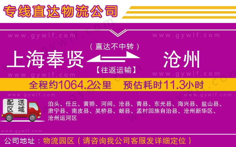 上海奉賢區(qū)到滄州物流公司
