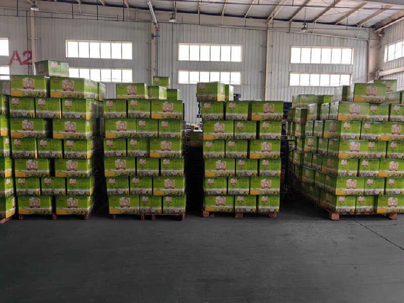 溫州到洛浦貨運公司