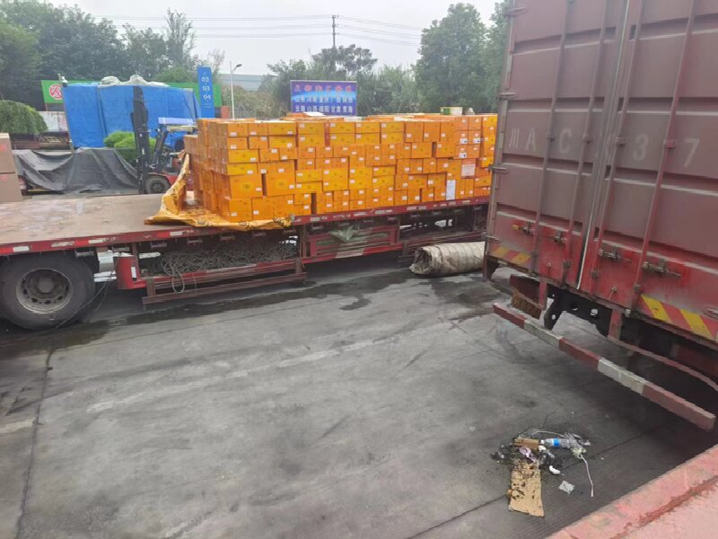 呼和浩特到富蘊(yùn)貨運(yùn)公司